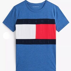 Tommy Hilfiger Bold Flag Logo Crewneck T-Shirt